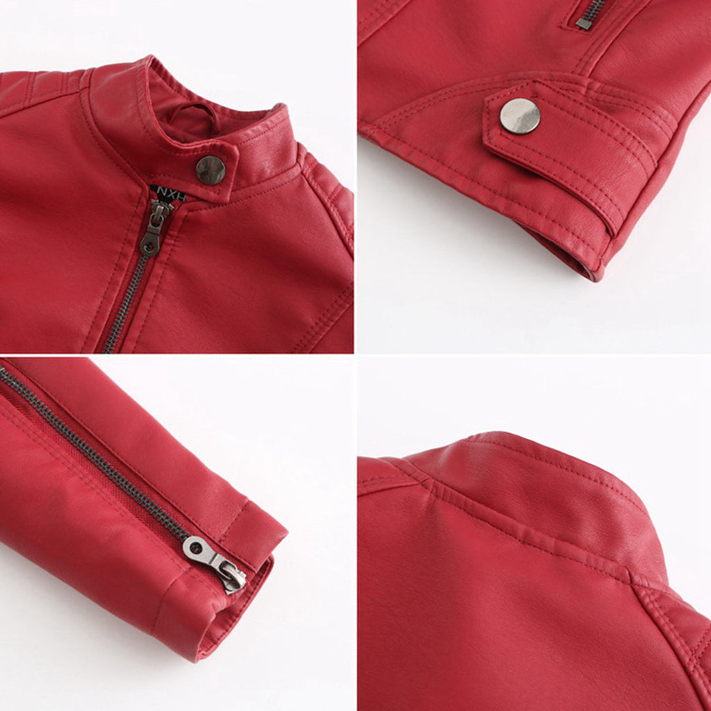 Fitted biker jacket with stand collar